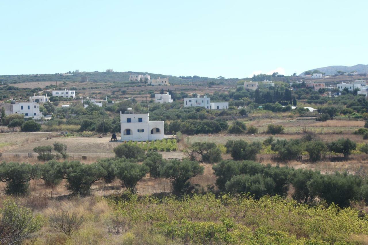 Theofilos Appartements Livadi  Exterior foto